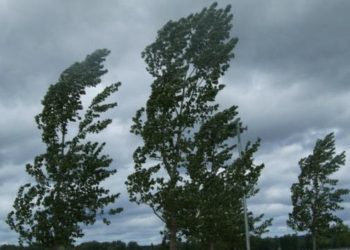 Maltempo, allerta arancione: a Milano chiusi i parchi recintati per tutta la giornata di venerdì